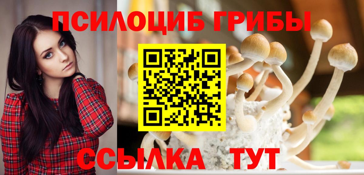 Псилоцибиновые грибы прущие грибы Реутов